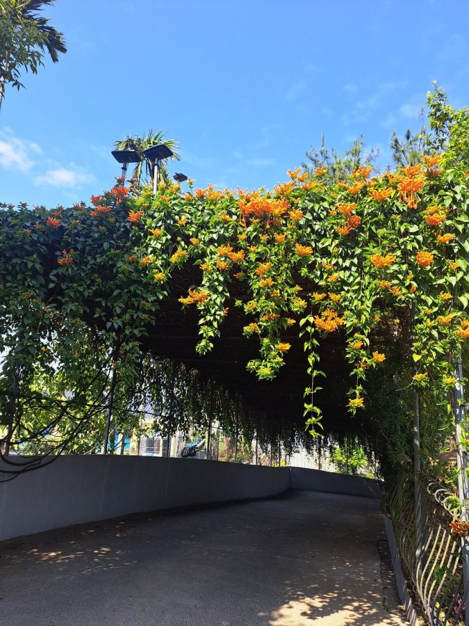 明心園戶外空間